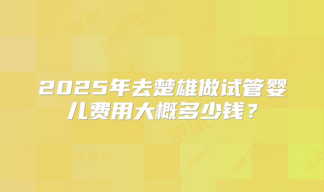2025年去楚雄做试管婴儿费用大概多少钱？