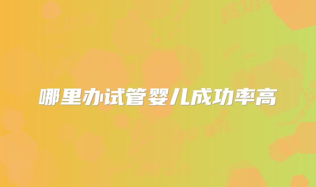 哪里办试管婴儿成功率高