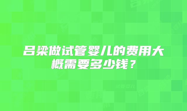 吕梁做试管婴儿的费用大概需要多少钱？