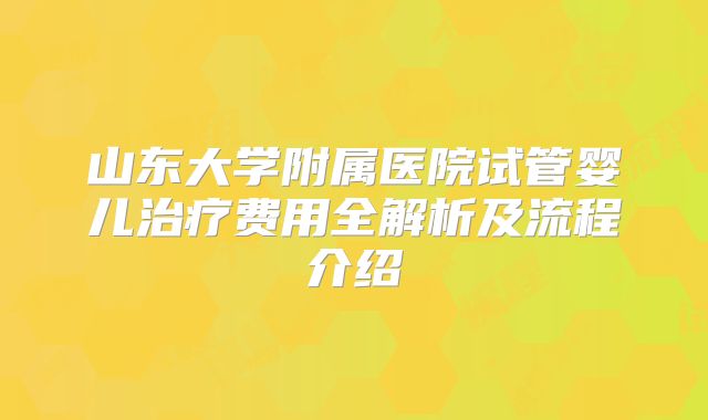 山东大学附属医院试管婴儿治疗费用全解析及流程介绍