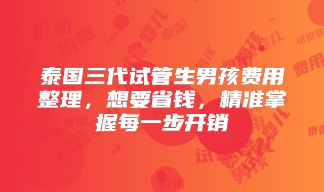 泰国三代试管生男孩费用整理，想要省钱，精准掌握每一步开销