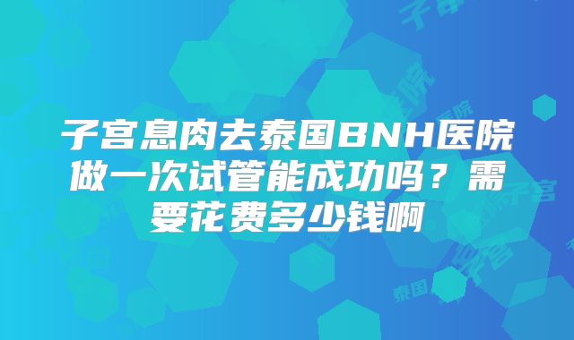 子宫息肉去泰国BNH医院做一次试管能成功吗？需要花费多少钱啊