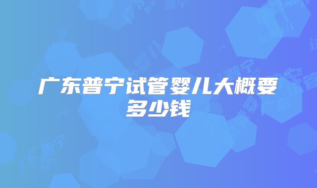 广东普宁试管婴儿大概要多少钱