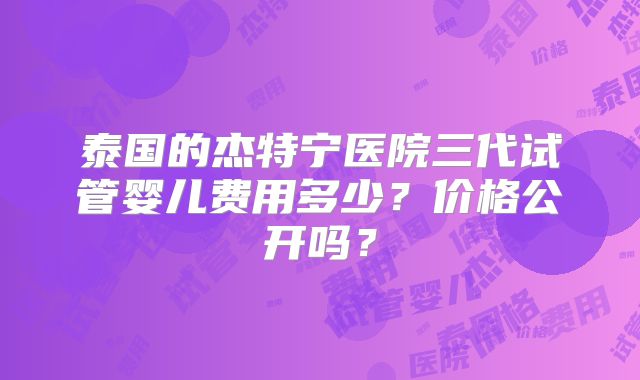 泰国的杰特宁医院三代试管婴儿费用多少？价格公开吗？