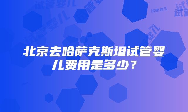 北京去哈萨克斯坦试管婴儿费用是多少？