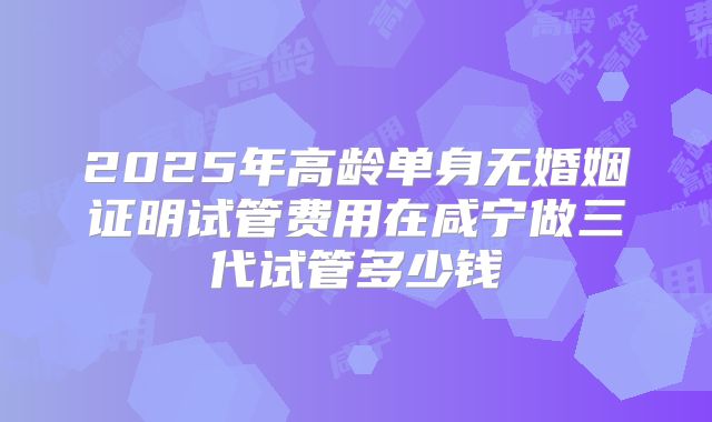 2025年高龄单身无婚姻证明试管费用在咸宁做三代试管多少钱