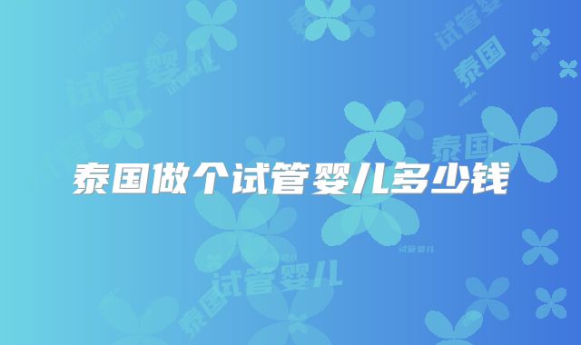 泰国做个试管婴儿多少钱