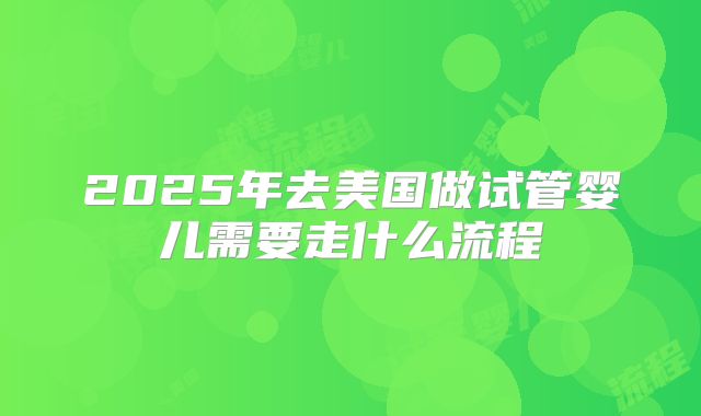 2025年去美国做试管婴儿需要走什么流程