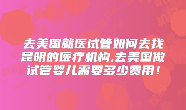 去美国就医试管如何去找昆明的医疗机构,去美国做试管婴儿需要多少费用！