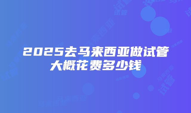 2025去马来西亚做试管大概花费多少钱