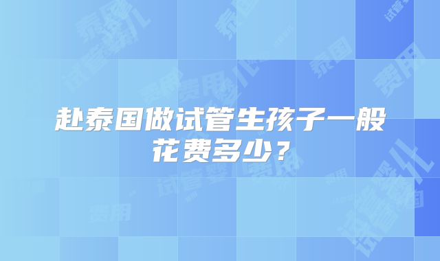 赴泰国做试管生孩子一般花费多少？
