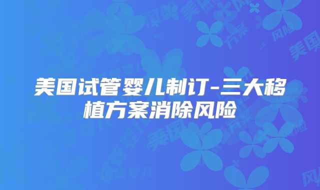 美国试管婴儿制订-三大移植方案消除风险