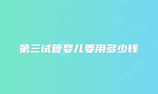 第三试管婴儿要用多少钱