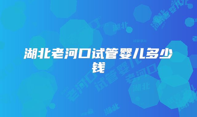 湖北老河口试管婴儿多少钱