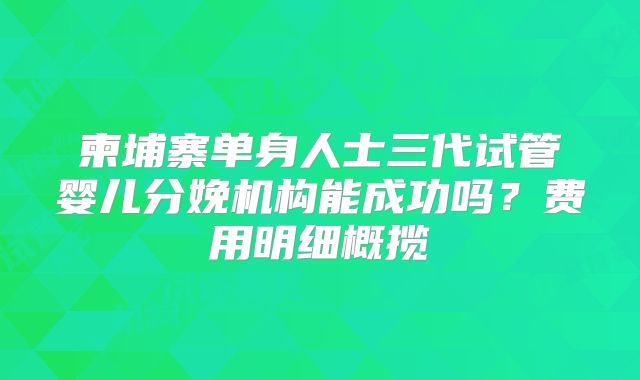 柬埔寨单身人士三代试管婴儿分娩机构能成功吗？费用明细概揽