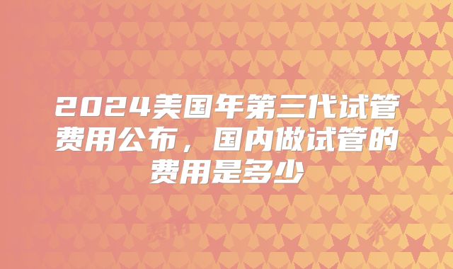 2024美国年第三代试管费用公布，国内做试管的费用是多少