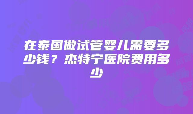 在泰国做试管婴儿需要多少钱？杰特宁医院费用多少
