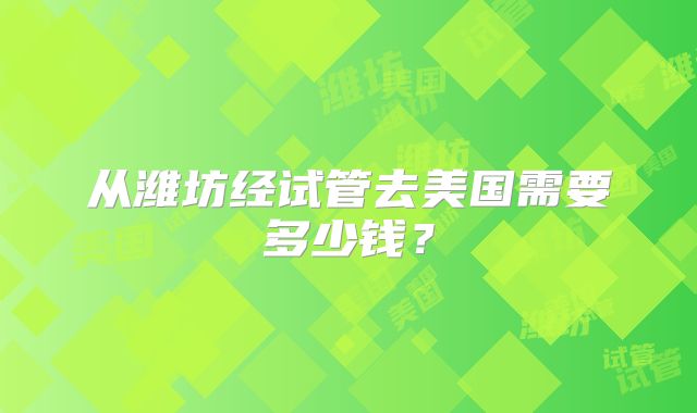 从潍坊经试管去美国需要多少钱?