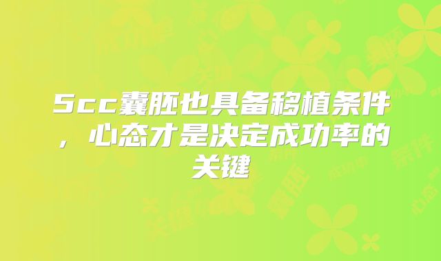 5cc囊胚也具备移植条件,心态才是决定成功率的关键