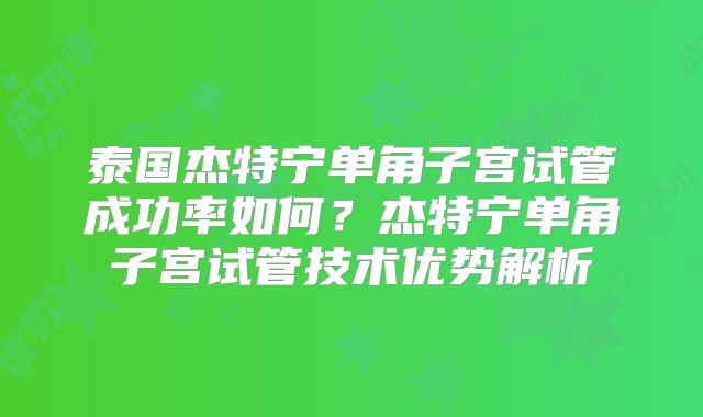 泰国杰特宁单角子宫试管成功率如何？杰特宁单角子宫试管技术优势解析