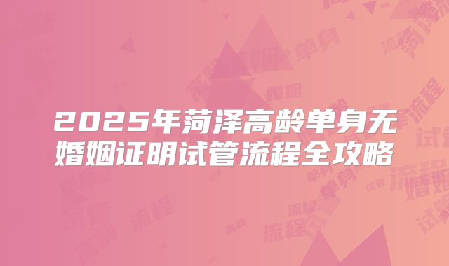2025年菏泽高龄单身无婚姻证明试管流程全攻略