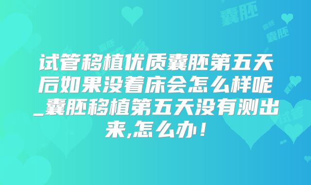 试管移植优质囊胚第五天后如果没着床会怎么样呢_囊胚移植第五天没有测出来,怎么办！