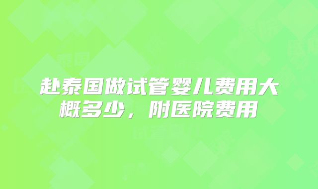 赴泰国做试管婴儿费用大概多少，附医院费用