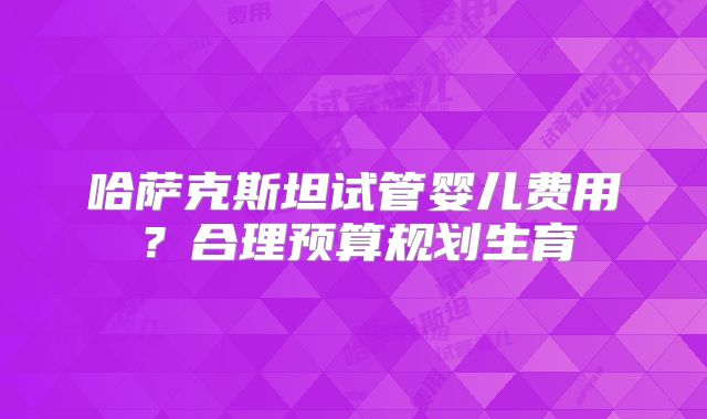 哈萨克斯坦试管婴儿费用？合理预算规划生育