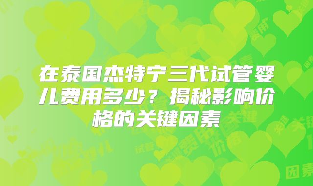 在泰国杰特宁三代试管婴儿费用多少？揭秘影响价格的关键因素
