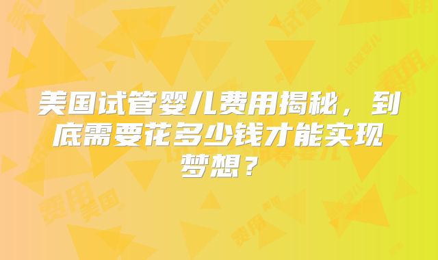 美国试管婴儿费用揭秘，到底需要花多少钱才能实现梦想？