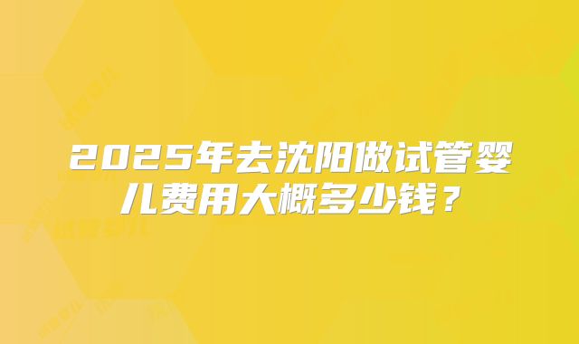 2025年去沈阳做试管婴儿费用大概多少钱？