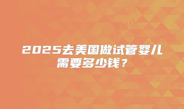 2025去美国做试管婴儿需要多少钱？