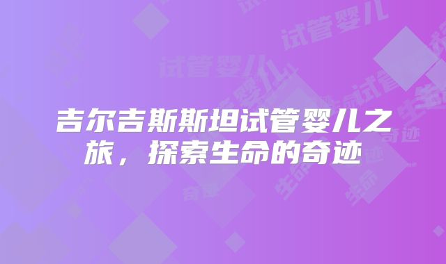 吉尔吉斯斯坦试管婴儿之旅，探索生命的奇迹