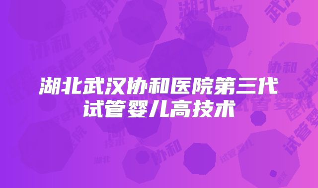 湖北武汉协和医院第三代试管婴儿高技术