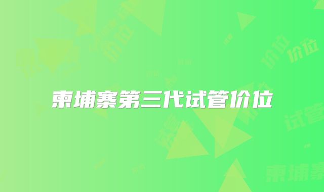 柬埔寨第三代试管价位