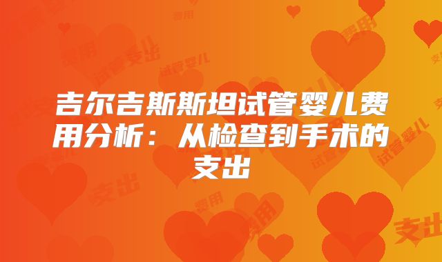 吉尔吉斯斯坦试管婴儿费用分析：从检查到手术的支出