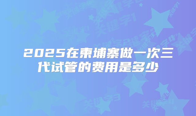 2025在柬埔寨做一次三代试管的费用是多少