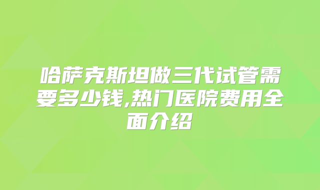 哈萨克斯坦做三代试管需要多少钱,热门医院费用全面介绍