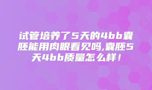 试管培养了5天的4bb囊胚能用肉眼看见吗,囊胚5天4bb质量怎么样！
