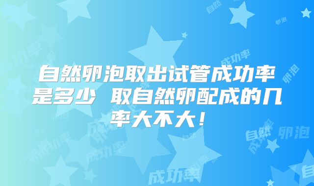自然卵泡取出试管成功率是多少 取自然卵配成的几率大不大！