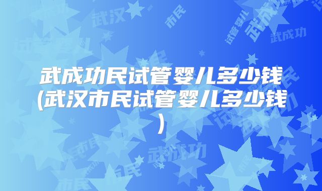 武成功民试管婴儿多少钱(武汉市民试管婴儿多少钱)
