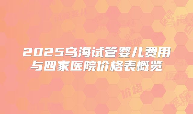 2025乌海试管婴儿费用与四家医院价格表概览