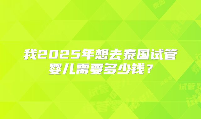 我2025年想去泰国试管婴儿需要多少钱？