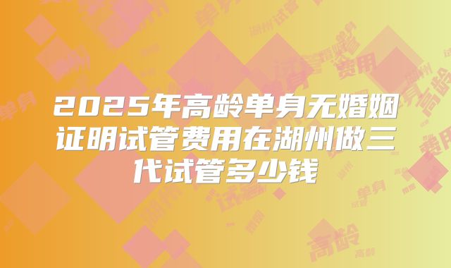 2025年高龄单身无婚姻证明试管费用在湖州做三代试管多少钱
