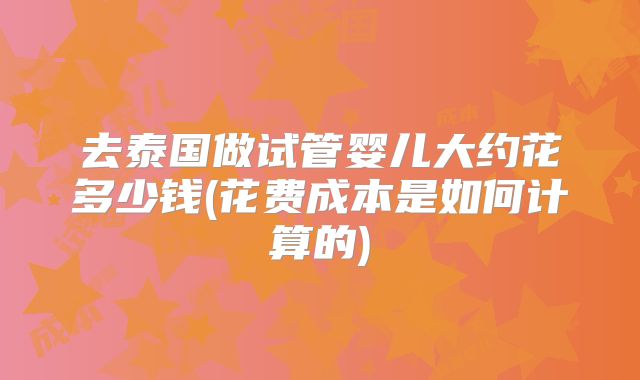 去泰国做试管婴儿大约花多少钱(花费成本是如何计算的)