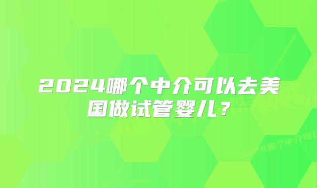 2024哪个中介可以去美国做试管婴儿？