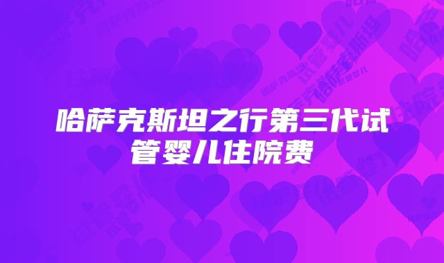 哈萨克斯坦之行第三代试管婴儿住院费