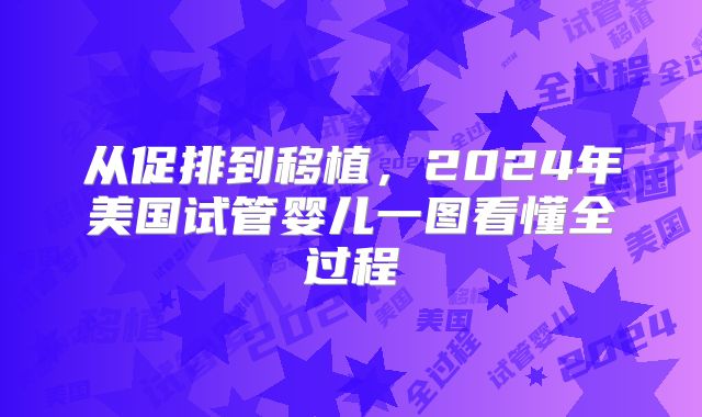 从促排到移植，2024年美国试管婴儿一图看懂全过程