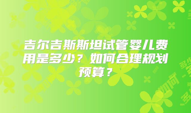 吉尔吉斯斯坦试管婴儿费用是多少？如何合理规划预算？