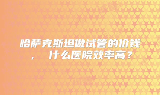 哈萨克斯坦做试管的价钱， 什么医院效率高？